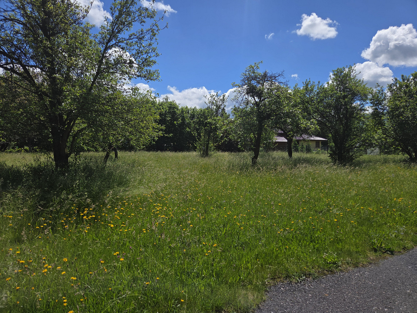 Prodej stavebního pozemku 2 087 m² — photo 4