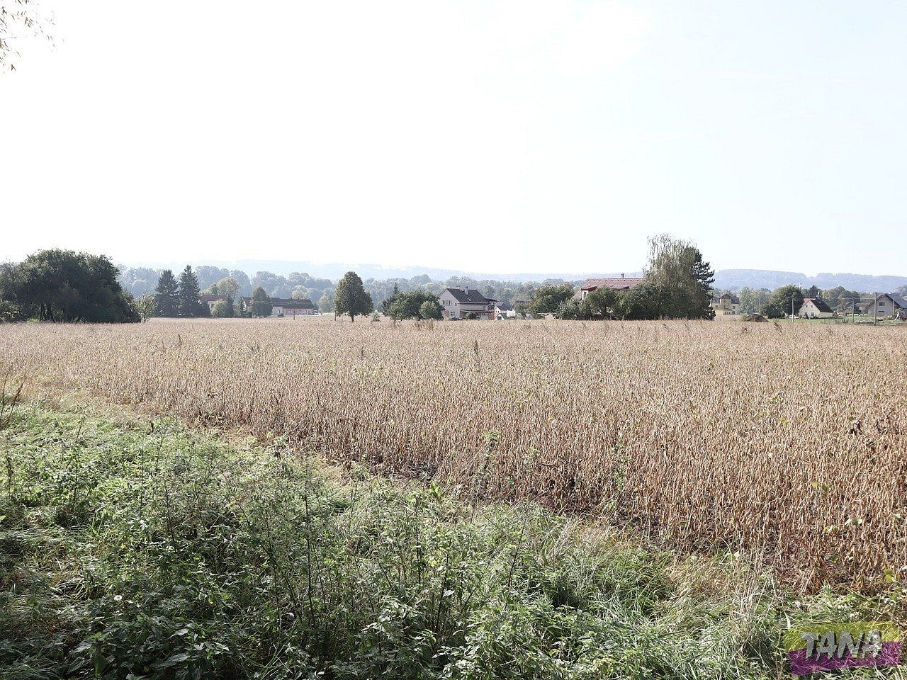 Prodej pole 27 614 m² – fotografie 3