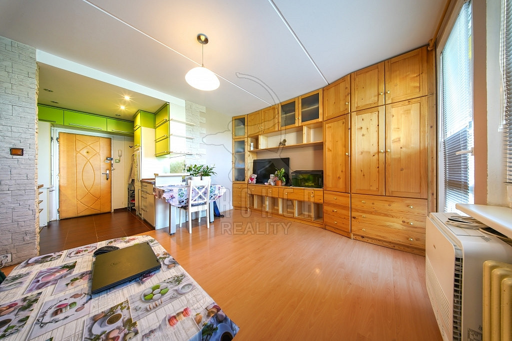 Prodej bytu 1+kk 34 m² — photo 3