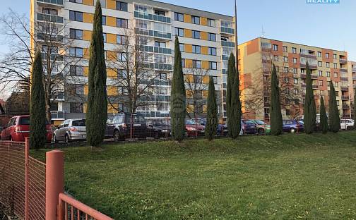 Pronájem bytu 3+1 81 m², Za Universitou, Dobruška, okres Rychnov nad Kněžnou