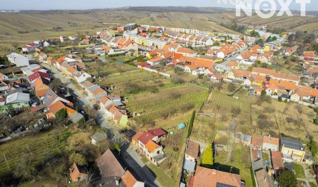 Prodej ostatní Vinný sklep, 25m2, Čejkovice, Čejkovice – náhled fotky 20