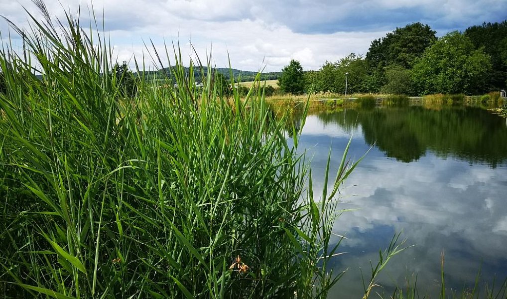 Pronájem bytu 2+kk 72 m², Zlín – náhled fotky 14
