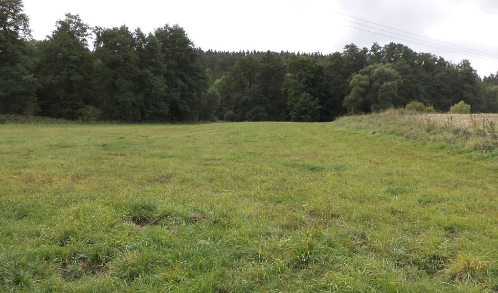 Prodej pole 58 887 m², Tachov – náhled fotky 3