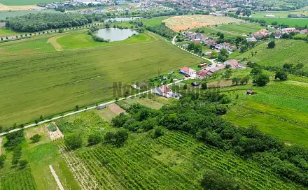 Prodej stavebního pozemku 3 395 m², Bořetice, okres Břeclav