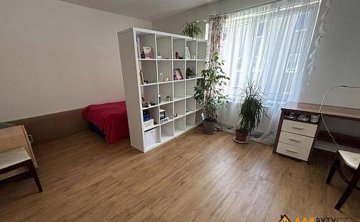 Prodej bytu 2+1 51 m², Sokolská, Doksy, okres Česká Lípa