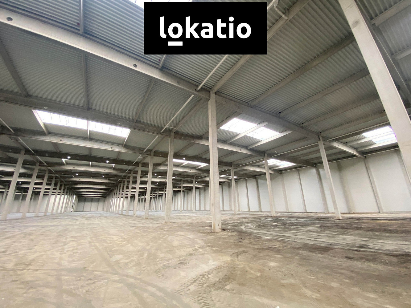 Pronájem skladovacích prostor 14 247 m² — photo 4