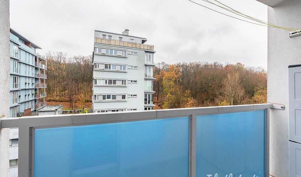 Pronájem bytu 3+kk 67 m², Praha – náhled fotky 5