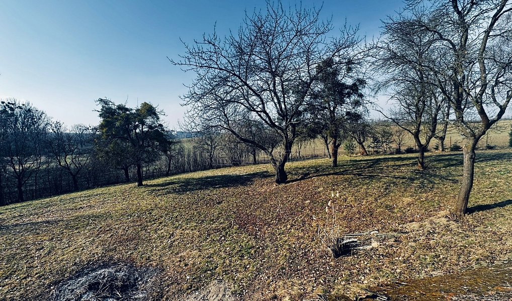 Prodej stavebního pozemku 3 362 m², Vítonice – náhled fotky 3