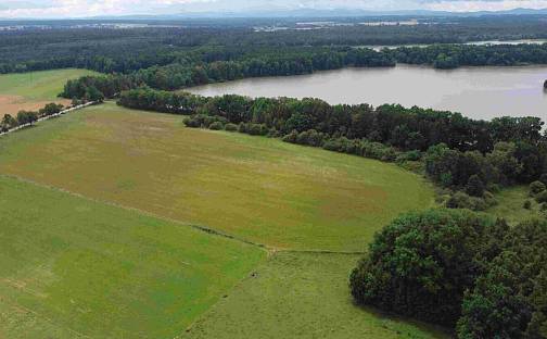 Prodej pozemku 23 395 m², Třeboň - Branná, okres Jindřichův Hradec