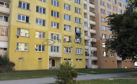 Prodej bytu 1+1 43 m², Vodňanská, České Budějovice - České Budějovice 2