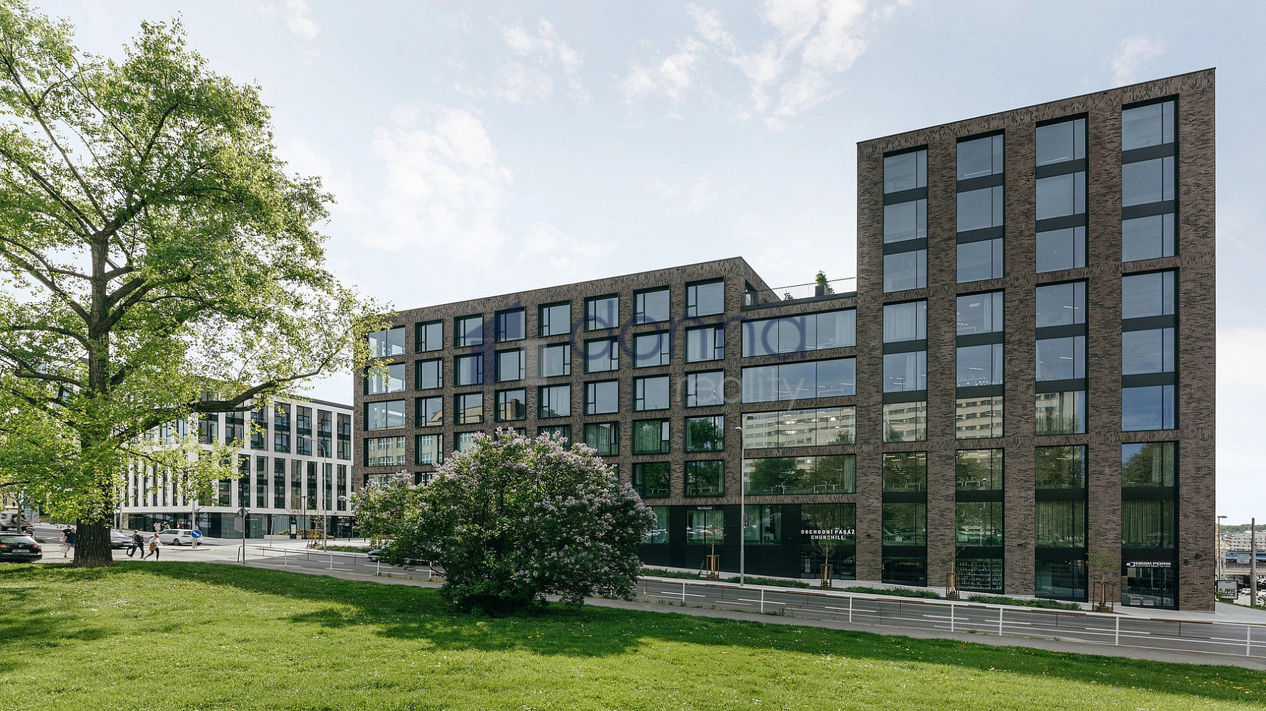 Pronájem kanceláře 912 m² – fotografie 5