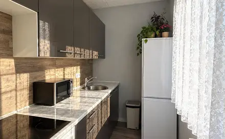 Pronájem bytu 1+1 26 m², K. H. Borovského, Most