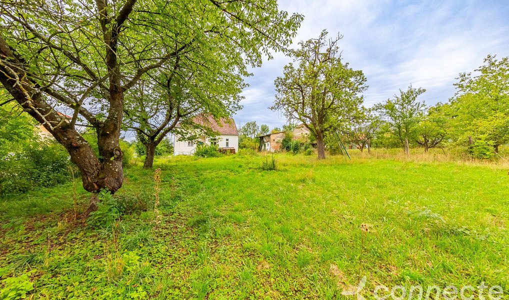 Prodej domu 63 m² s pozemkem 1 051 m², Dymokury – náhled fotky 23