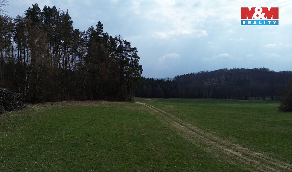 Prodej lesa 7 873 m², Mrákotín – náhled fotky 9