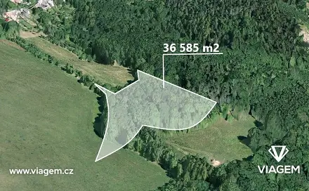 Prodej lesa 609 m², Městečko Trnávka, okres Svitavy