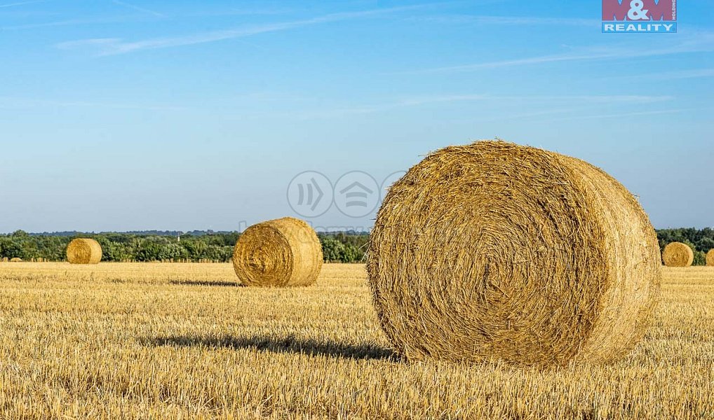 Prodej pole 52 753 m², Líně – náhled fotky 3