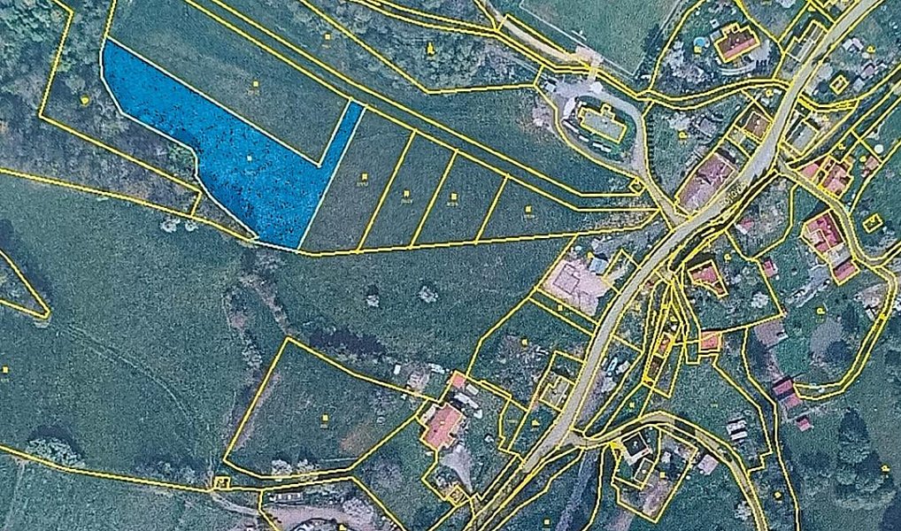 Prodej stavebního pozemku 4 280 m², Heřmanov – náhled fotky 9