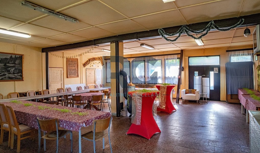 Prodej obchodních prostor 336 m², Vojníkov – náhled fotky 2