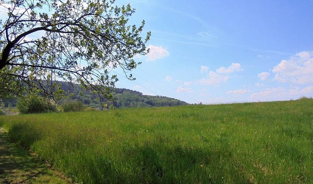 Prodej stavebního pozemku 2 187 m², Turnov – náhled fotky 9