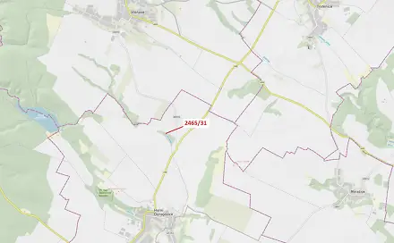 Dražba lesa 263 m², Horní Dunajovice