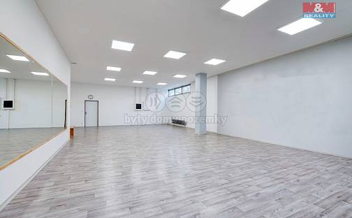 Pronájem obchodních prostor 349 m², Sokolovská, Plzeň - Bolevec