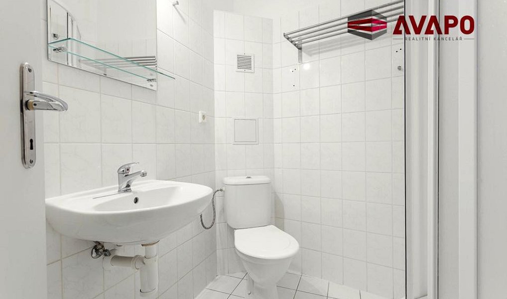 Pronájem bytu 1+1 43 m², Opava – náhled fotky 11