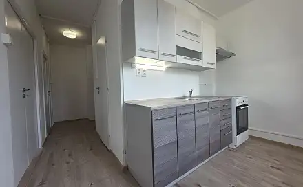 Pronájem bytu 2+1 55 m², Olomoucká, Opava