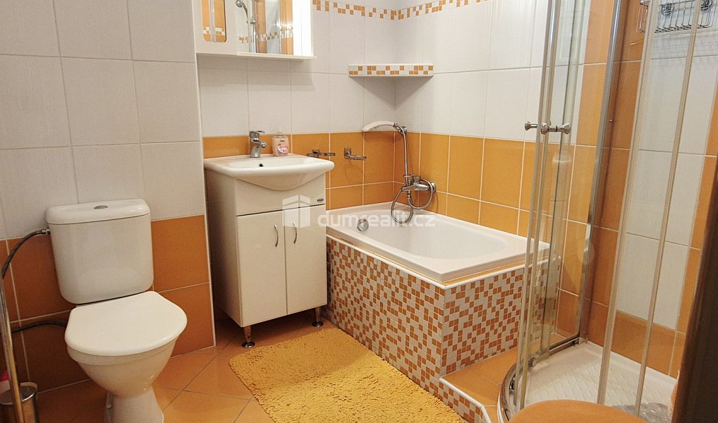 Prodej domu 230 m² s pozemkem 485 m², Kaplice – náhled fotky 9