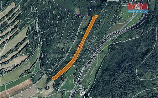 Prodej lesa 17 778 m², Odry, okres Nový Jičín