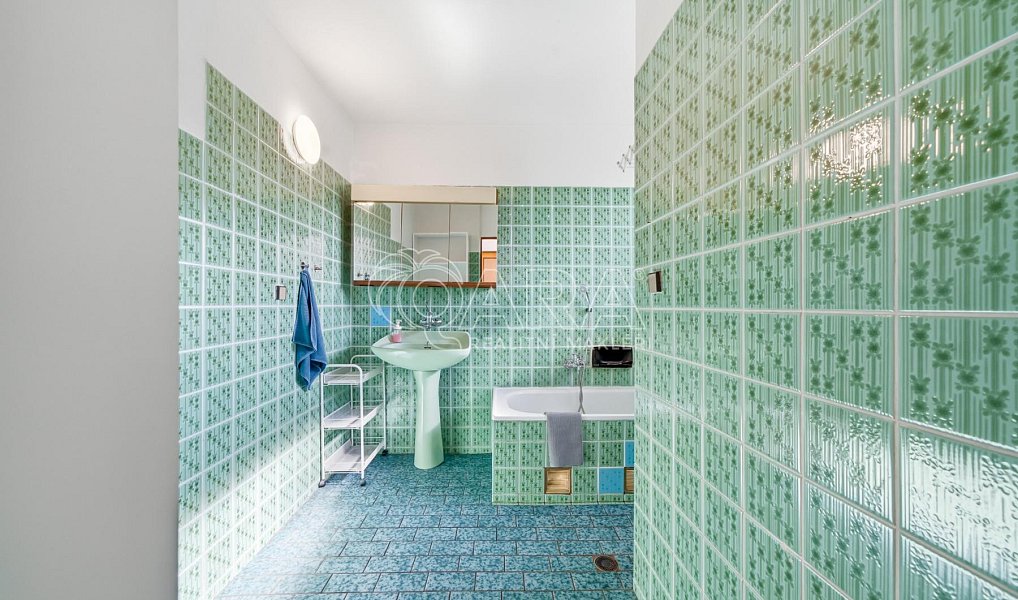 Prodej domu 260 m² s pozemkem 2 811 m², Velké Losiny – náhled fotky 12