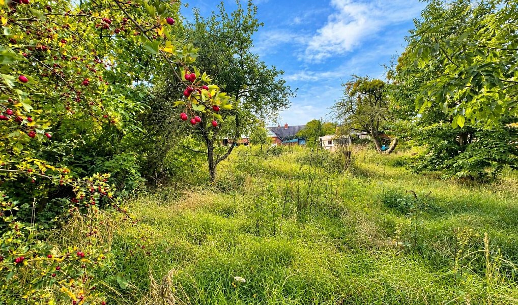 Prodej zahrady 823 m², Medlov – náhled fotky 2