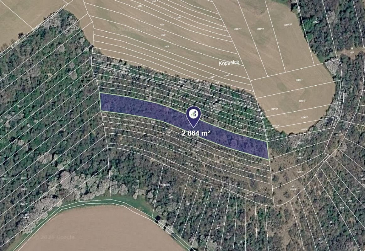 Prodej louky 2 864 m²