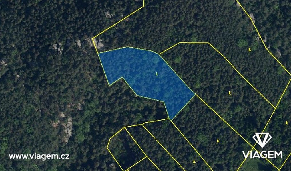 Prodej lesa 2 093 m², Mírová pod Kozákovem – náhled fotky 3
