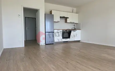 Pronájem bytu 1+kk 40 m², Loudova, Olomouc - Slavonín