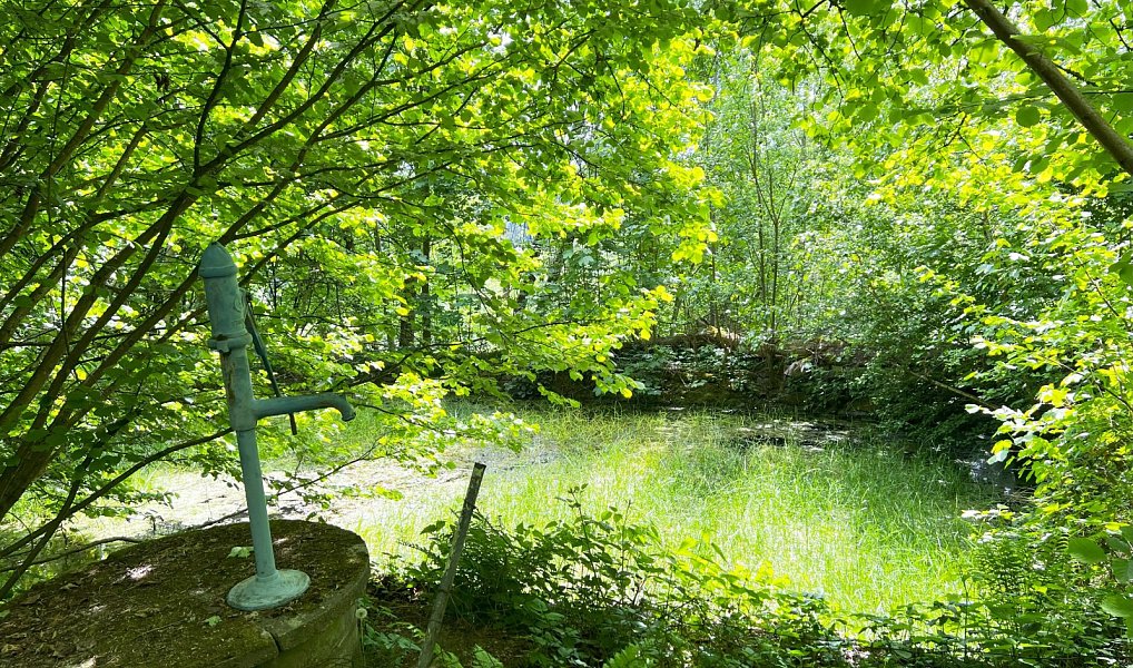 Prodej domu 109 m² s pozemkem 4 779 m², Klenčí pod Čerchovem – náhled fotky 18