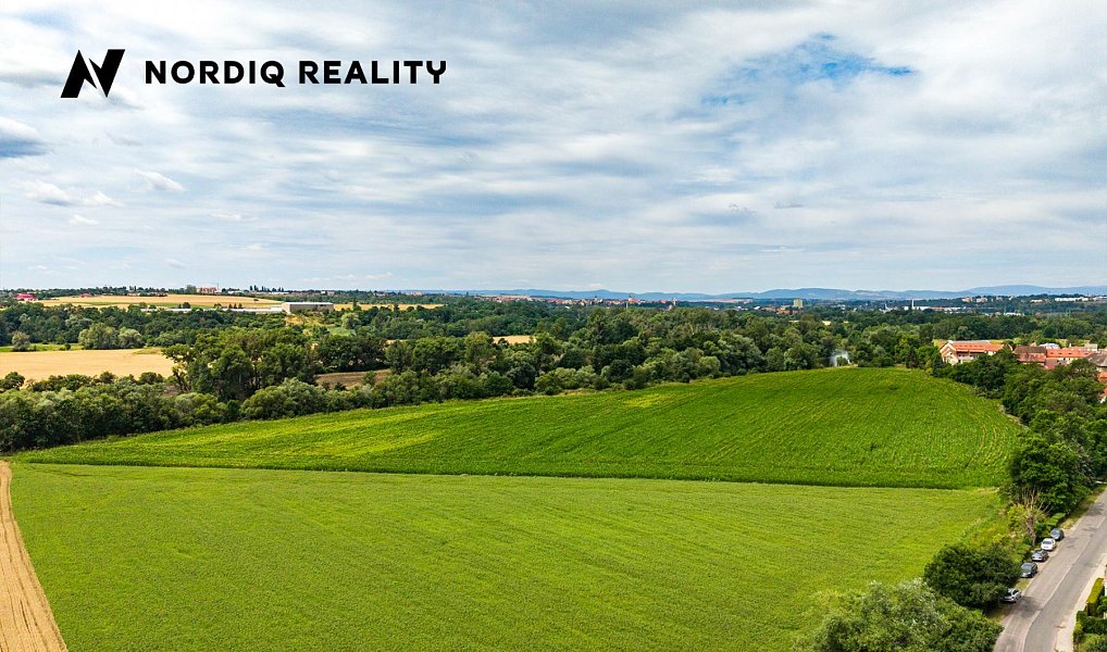 Prodej pole 9 243 m², Staňkovice – náhled fotky 9