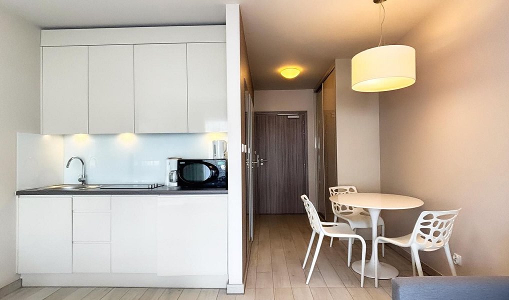 Prodej bytu 1+kk 27 m², Dolní Morava – náhled fotky 3