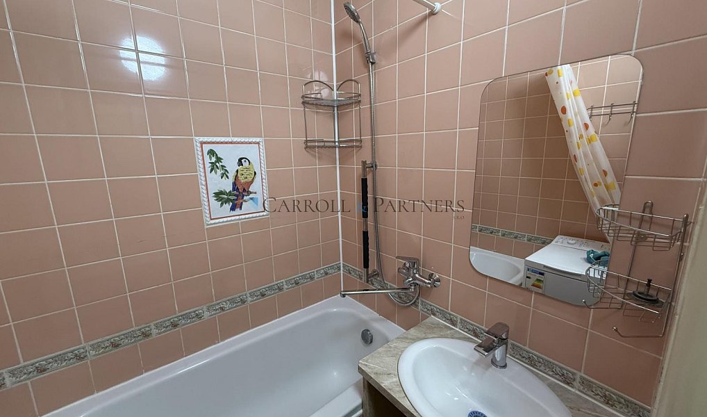 Pronájem bytu 2+1 53 m², Ostrava – náhled fotky 8