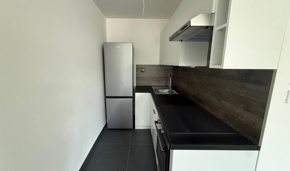 Pronájem bytu 2+kk 50 m², Chomutov – náhled fotky 5
