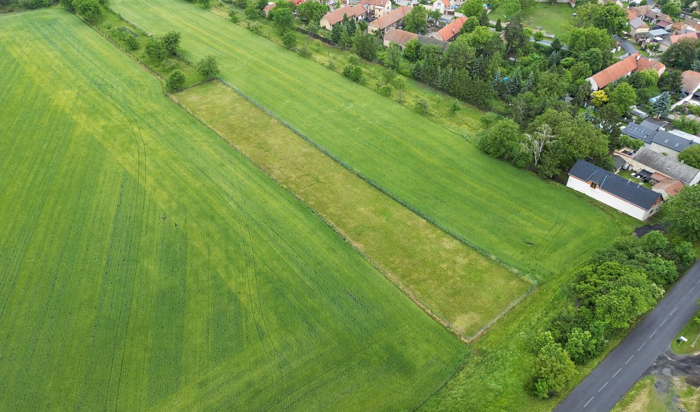 Prodej pozemku 3 211 m², Peruc – náhled fotky 4