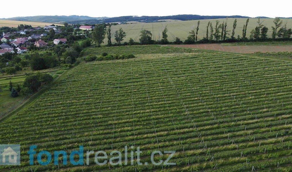 Prodej pozemku 4 878 m², Újezdec – náhled fotky 3