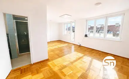 Pronájem bytu 1+kk 47 m²