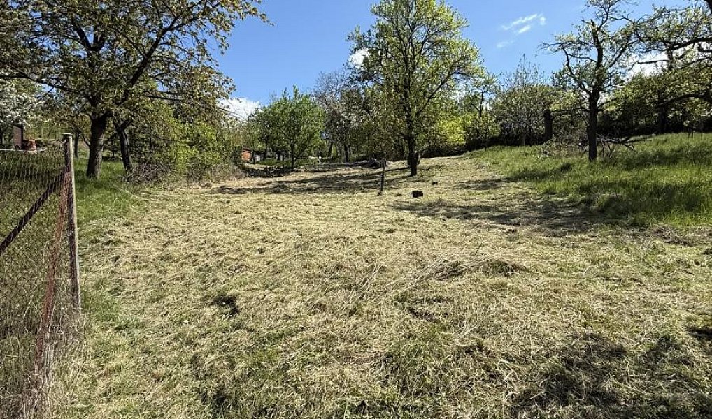 Prodej zahrady 539 m², Slavkov u Brna – náhled fotky 7