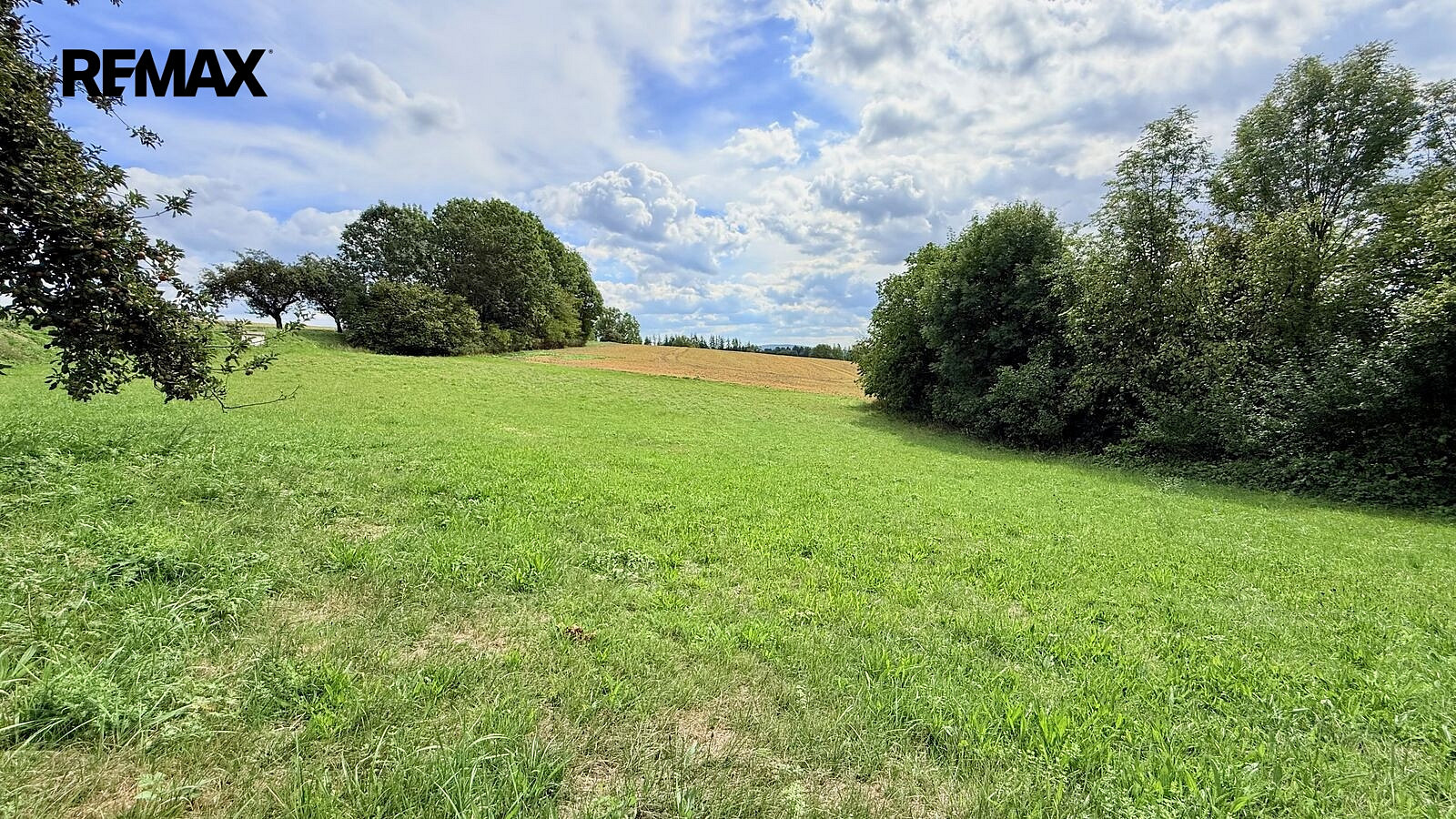 Fotka 14 z 14
