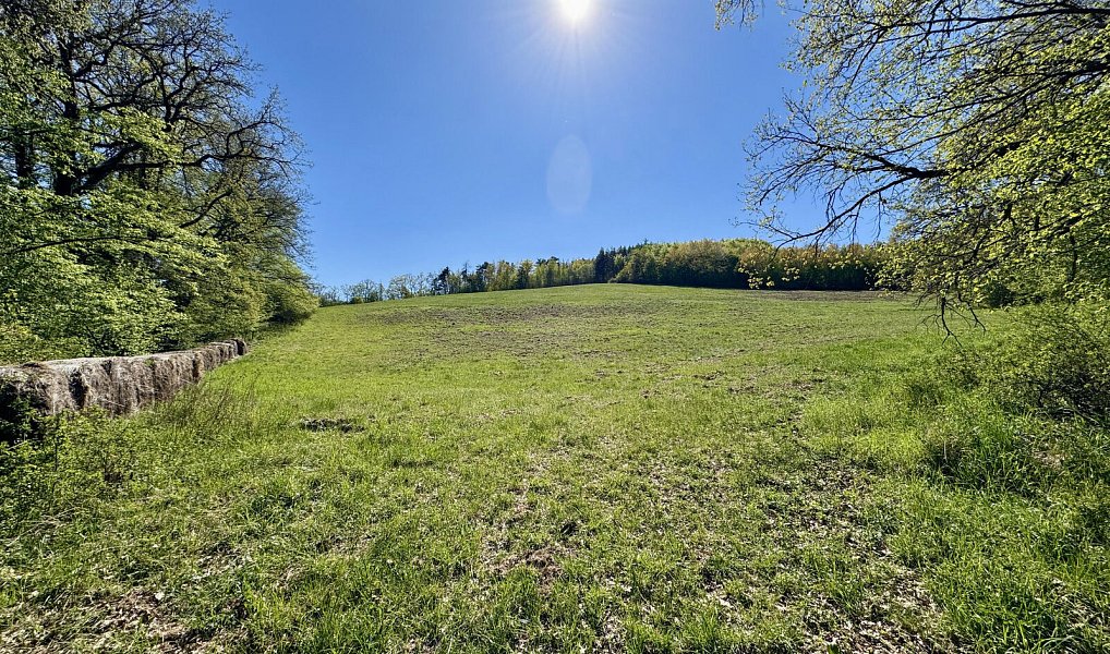 Prodej pozemku, 60462 m², Litoměřice, Úštěk