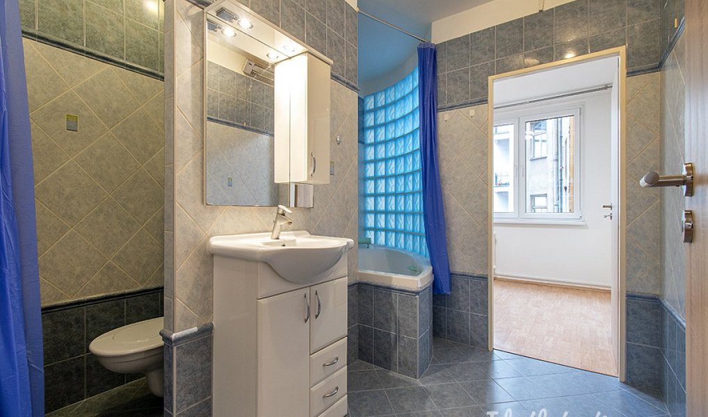 Pronájem bytu 3+kk 65 m², Praha – náhled fotky 9