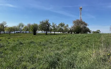 Pronájem pozemku 7 559 m², Horní Újezd, okres Přerov