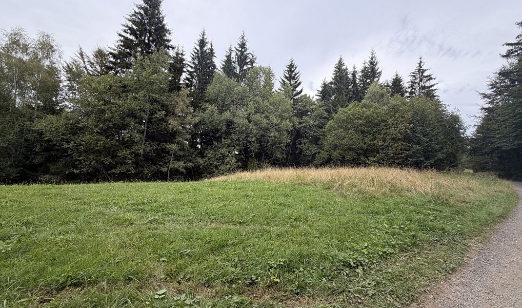 Prodej pozemku 1 194 m², Hutisko-Solanec – náhled fotky 9