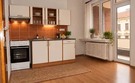 Pronájem bytu 2+1 51 m², Dřevařská, Brno - Veveří