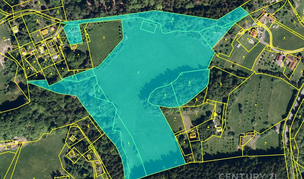 Prodej domu 131 m² s pozemkem 49 321 m², Držková – náhled fotky 20